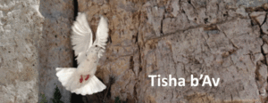 Tisha B’Av
