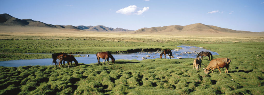  baal teshuva Mongolia
